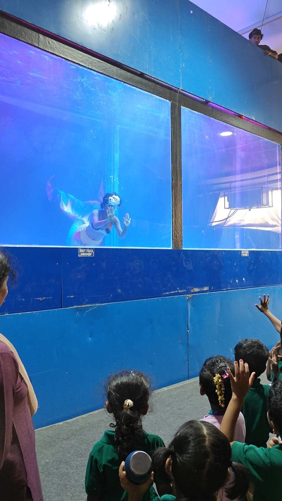 Field Trip - Nursery